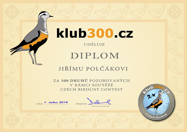 POLCAK 300 DRUHU