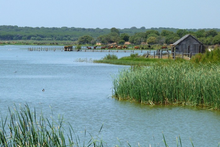 Doňana-Dehasa de Abajo malá