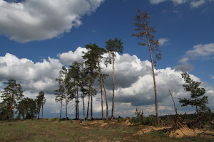 Bzenec - Váté písky