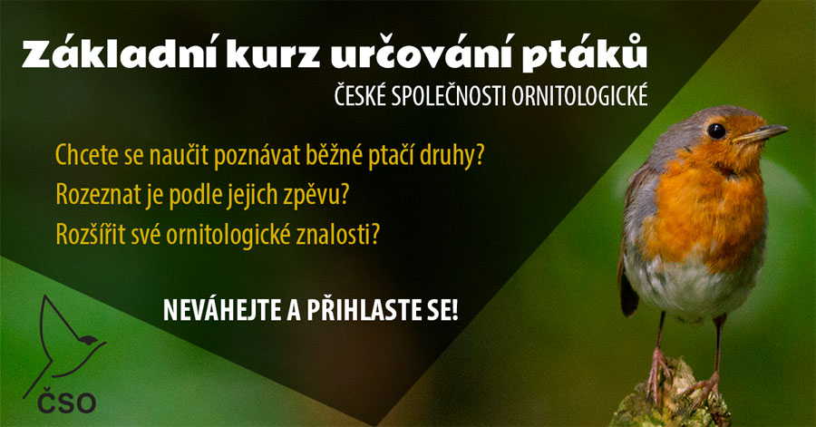 CSO kurs poznavani ptaku