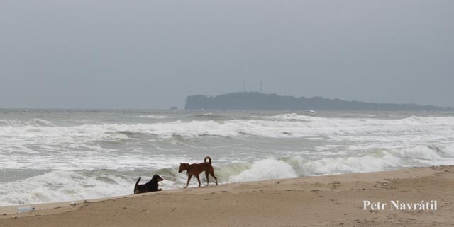 sri lanka 04